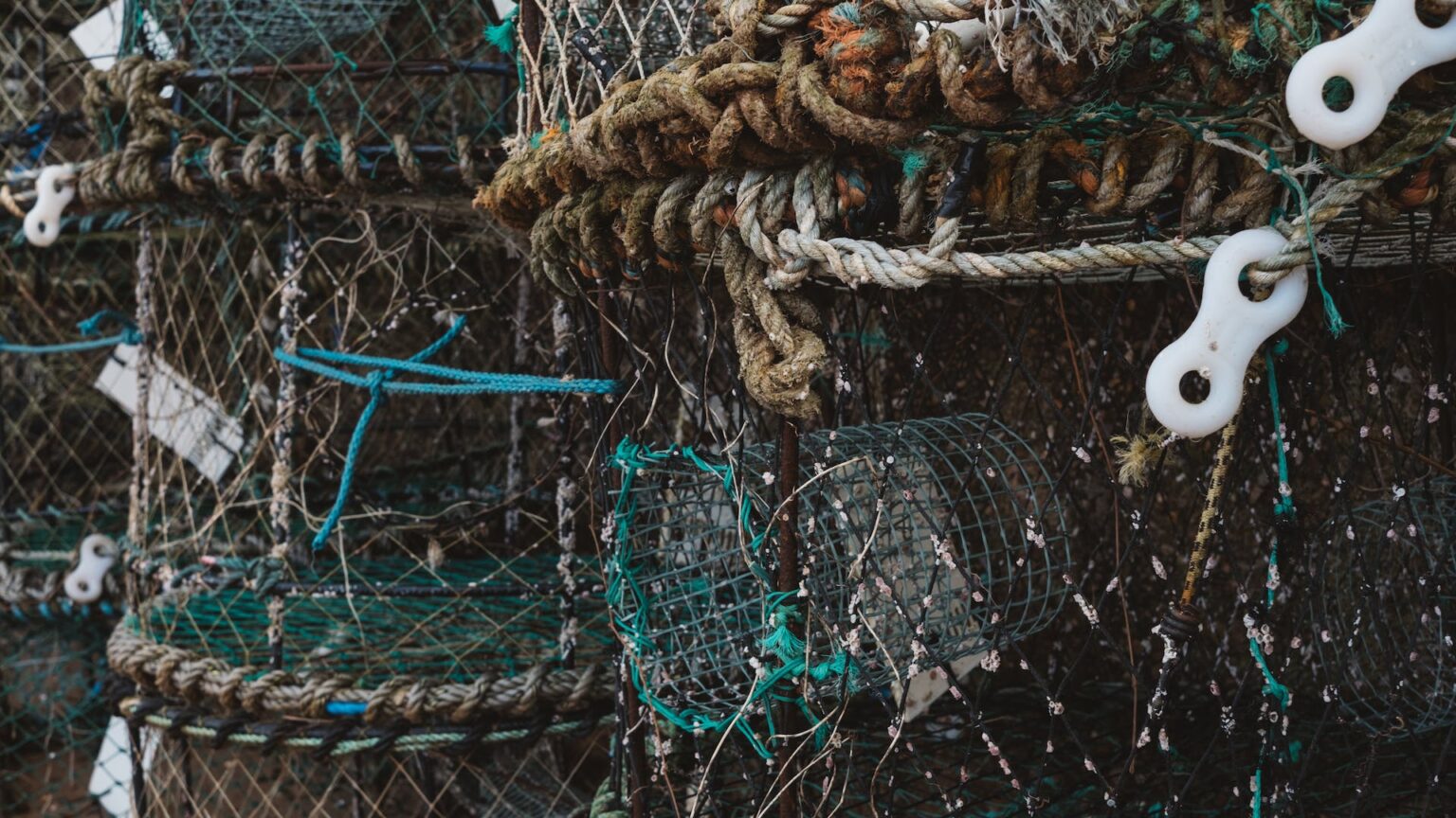 What Is The Difference Between a Seaman And a Marine? Challenge D